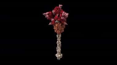 Siyah arkaplanda 3B model animasyonu