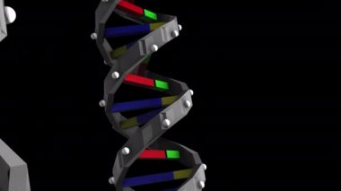 Siyah bir arkaplan üzerinde DNA düşük poli B- 3D grafik animasyonu