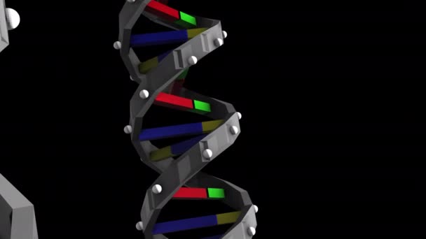 Dna Låg Poly Grafisk Animation Svart Bakgrund — Stockvideo