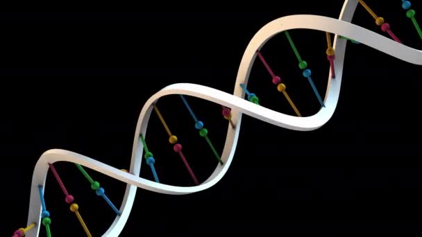 Hélice Dna Rotativa Loop — Vídeo de Stock