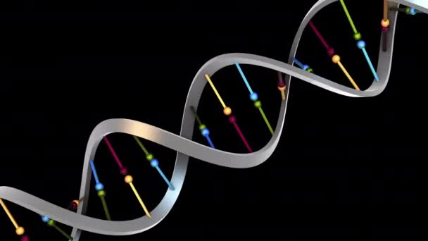 Rotierende Dna Helix Schleife — Stockvideo