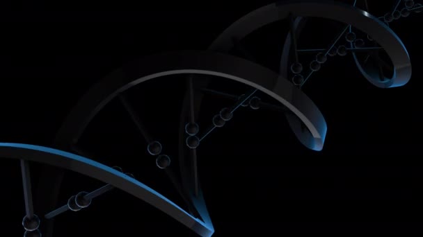 Roterande Dna Spiral Loop — Stockvideo