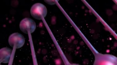 DNA-Metal Pembe zum Oranı