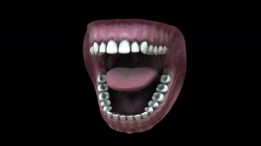 Siyah arkaplanda 3D animasyon modeli