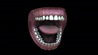 Siyah arkaplanda 3D animasyon modeli