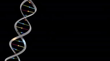 Dönen DNA sarmalı - döngü