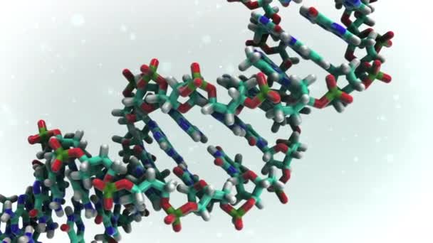 Dna Multi Color Humano Inclinación Pan Hélice Giratoria Adn — Vídeo de stock