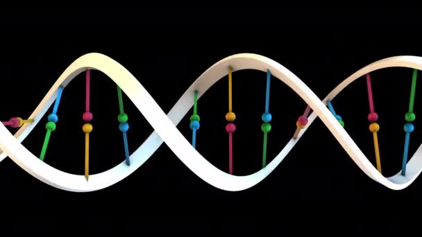 Roterande Dna Spiral Loop — Stockvideo