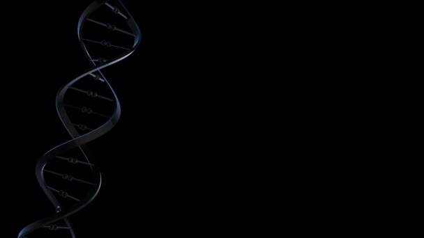 Rotating Dna Helix Loop — Stock Video