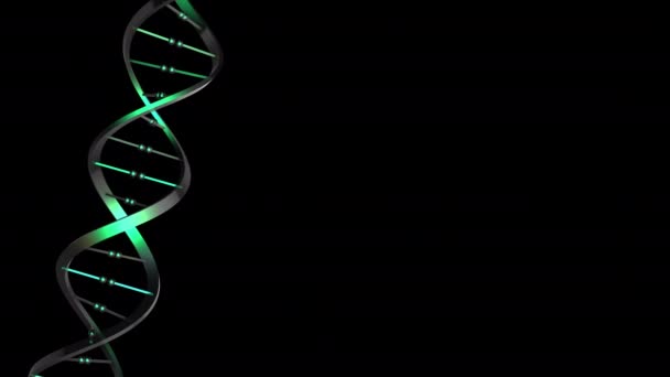 Rotating Dna Helix Loop — Stock Video