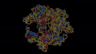 Zika NS1 eksi ligand- 3D animasyon proteini