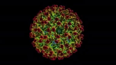 Chikungunya virüsü. Virüsün 3 boyutlu hali.