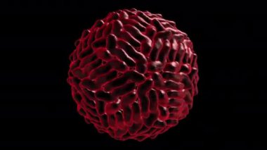 COWPEA MOSAIC VIRUS - Bir virüsün 3D üretimi