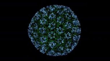 COWPEA MOSAIC VIRUS - Bir virüsün 3D üretimi