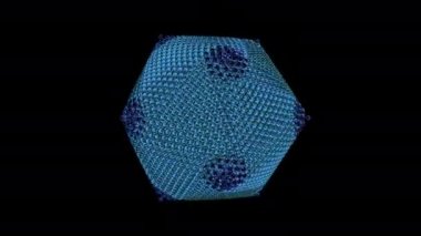 COWPEA MOSAIC VIRUS - Bir virüsün 3D üretimi