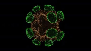 COWPEA MOSAIC VIRUS - Bir virüsün 3D üretimi