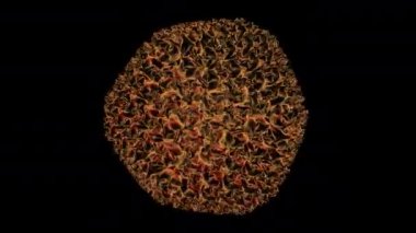COWPEA MOSAIC VIRUS - Bir virüsün 3D üretimi