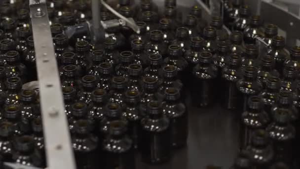 Medicinal Bottles Sorting Medicine Industry Factory — Αρχείο Βίντεο