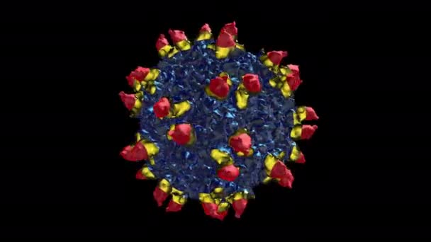 Canine Parvovirus Terpadu Dengan Fab Rendering Dari Virus — Stok Video