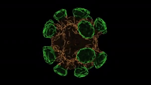 Cowpea Mosaic Virus Rendu Virus — Video