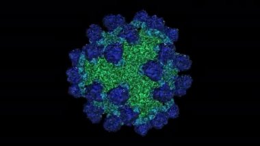 Bir virüsün 3 boyutlu canlandırması