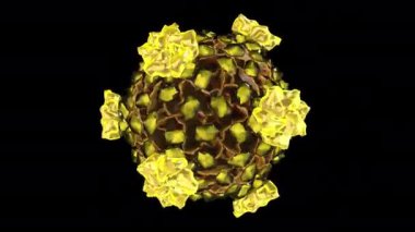 Siyah arkaplanda 3B model animasyonu