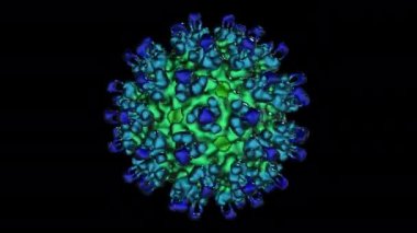 Bir virüsün 3 boyutlu canlandırması