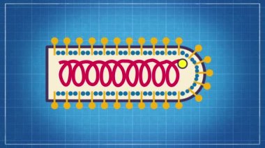 Virüs sınıflandırması - virüsleri isimlendirmek ve bunları planlama arkaplanındaki bir taksonomik sistem animasyonuna yerleştirmek