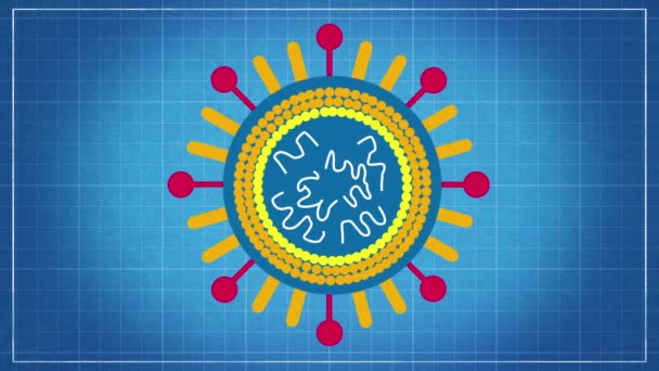 Clasificación Virus Nombrar Virus Colocarlos Una Animación Del Sistema Taxonómico — Vídeo de stock