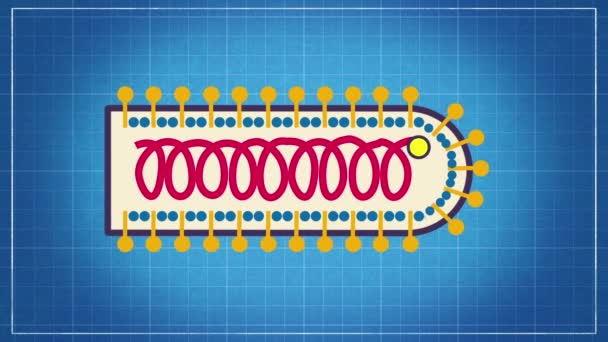 Virus Klassificering Namnge Virus Och Placera Dem Ett Taxonomiskt System — Stockvideo