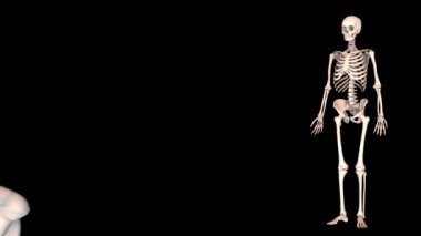 3D İNSAN MÜZİK ATLARI