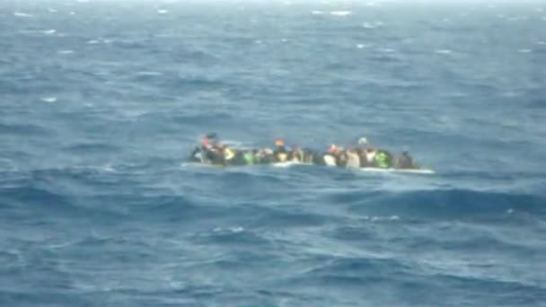 Observation Des Migrants Diurnes Arrivent — Video