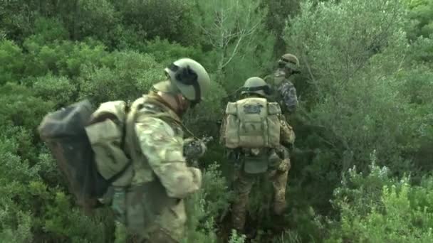 Soldiers Patrol Forest — Stock Video