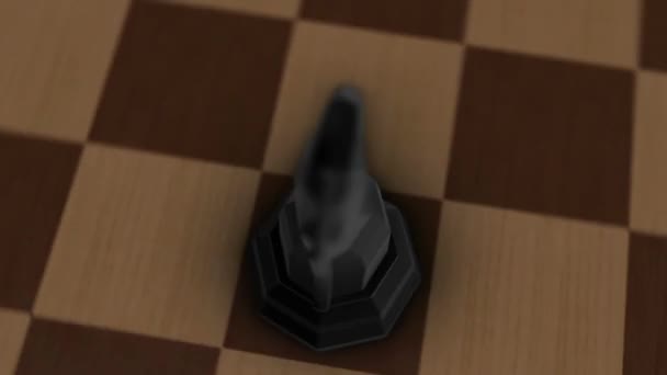 Les Échecs Les Mouvements Des Différentes Pièces — Video