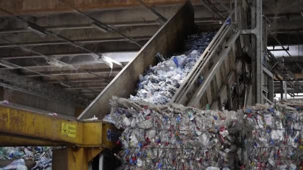 Processo Reciclagem Plástico — Vídeo de Stock