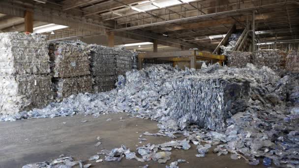 Processo Reciclagem Plástico — Vídeo de Stock