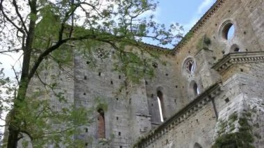 Rüzgarda dış görünüm ağacı