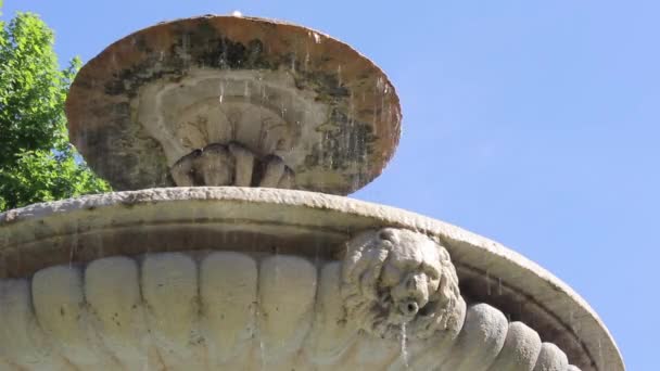 Roma Fontana Piazza Mastai — Stockvideo