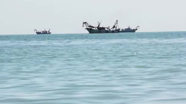 Fishing Boats Horizon — Stock Video