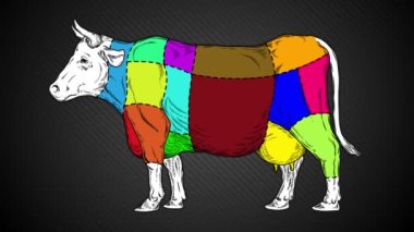 Düz 2B canlandırmalı grafikler