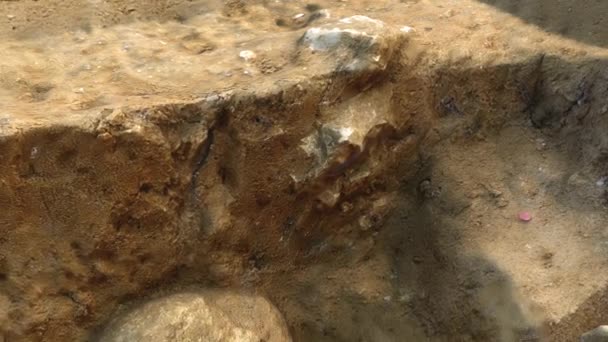 Excavación Arqueológica Con Restos Humanos — Vídeos de Stock