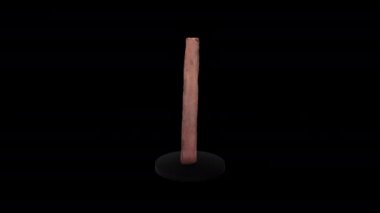 Arkaplanda 3d animasyon modeli