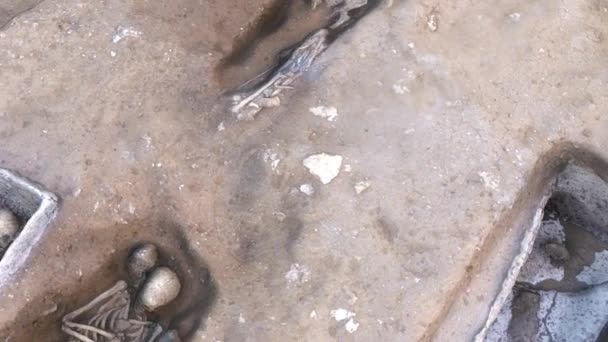 Археологические Раскопки Человеческими Останками — стоковое видео