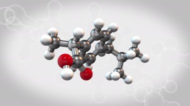 Gri arka planda 3D Modelleme