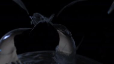 Dragon 'un 3D animasyonu. Orijinal 3D model: Drogon Game of Thrones by fecerate CC Öznitelik Web: skeçfab