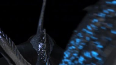 Dragon 'un 3D animasyonu. Orijinal 3D model: Dragon (Decimated) by fecerate CC Öznitelik Web: skeçfab