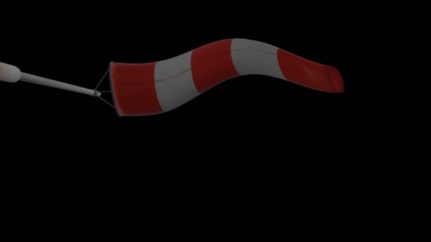 Windsock Animation Μαύρο Φόντο — Αρχείο Βίντεο