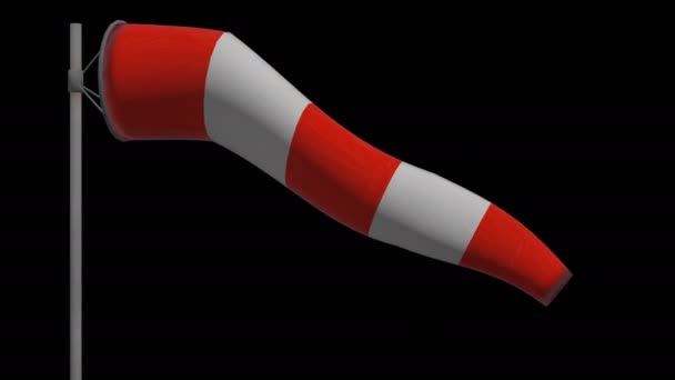 Windsock Animation Black Background — Stock Video