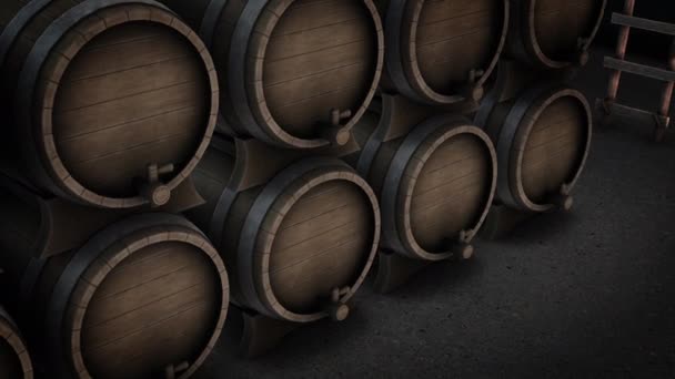 Animation Room Full Wine Barrels — Stock Video