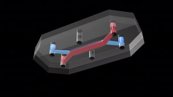 臓器オンチップ Ooc 臓器や臓器システム全体の活動 力学的および生理学的応答をシミュレートするマルチチャネルの3次元マイクロ流体細胞培養チップです — ストック動画